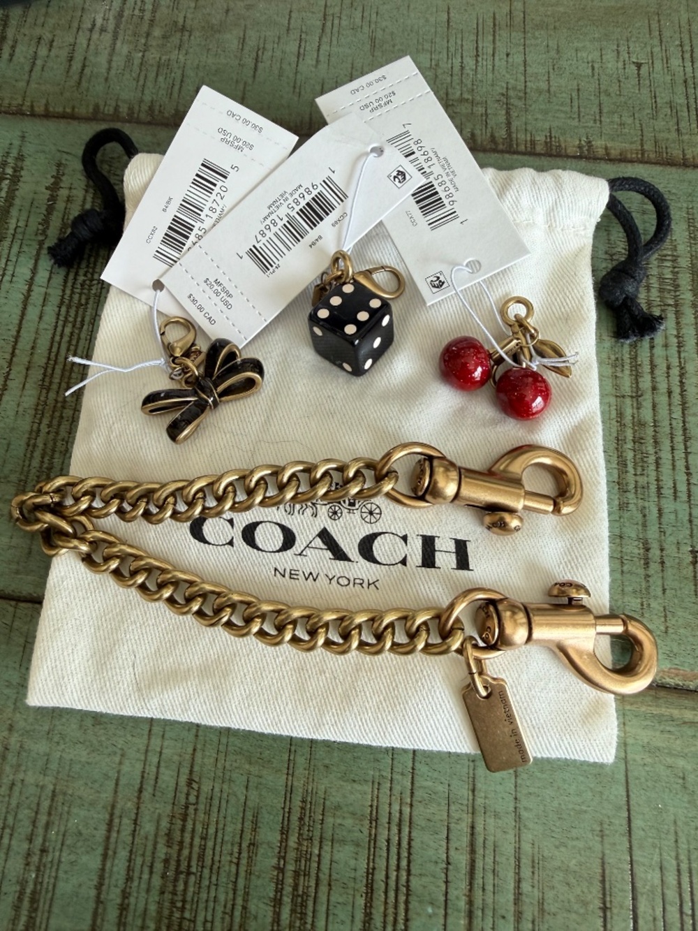 Coach DIY Chain Strap with 3 DIY Charms - Picture 2 of 4